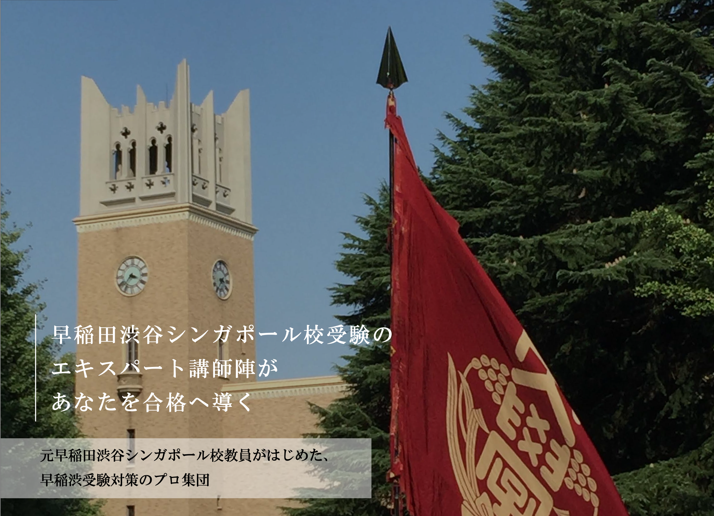 早稲田渋谷シンガポール校受験のエキスパート講師陣があなたを合格へ導く